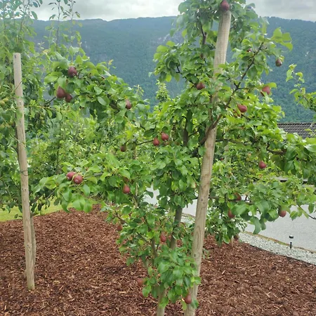 U Maxa , Cale Mieszkanie Na Wylacznosc * Sogndal